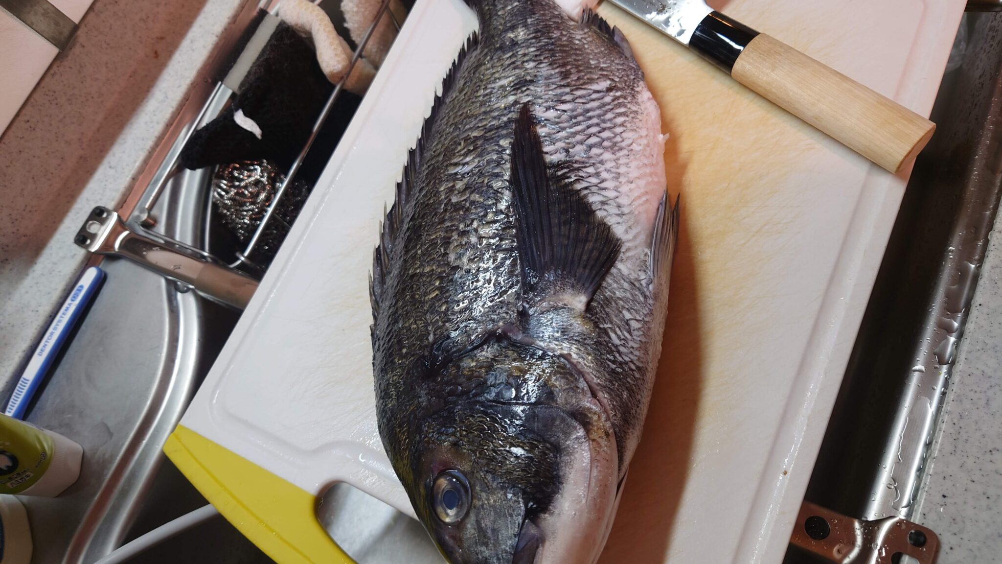 クロダイ（チヌ）がまずいのはなぜ？その理由と美味しい食べ方や人気レシピを紹介！ | ぼだいじゅJourney