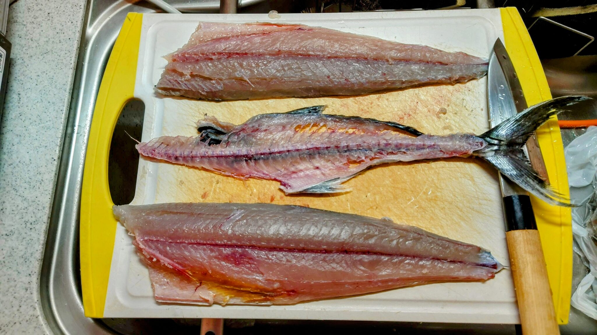 サゴシの刺し身や炙り・簡単レシピを紹介!捌き方や保存方法も伝授! | ぼだいじゅJourney